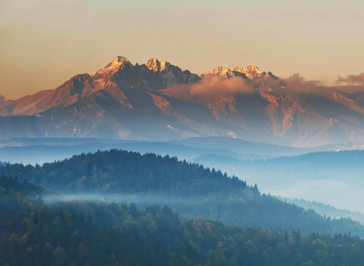 Bazy Danych o produktach i opakowaniach oraz o gospodarce Odpadami we Włoszech: Klucz do zrównoważonego rozwoju i efektywnego zarządzania odpadami