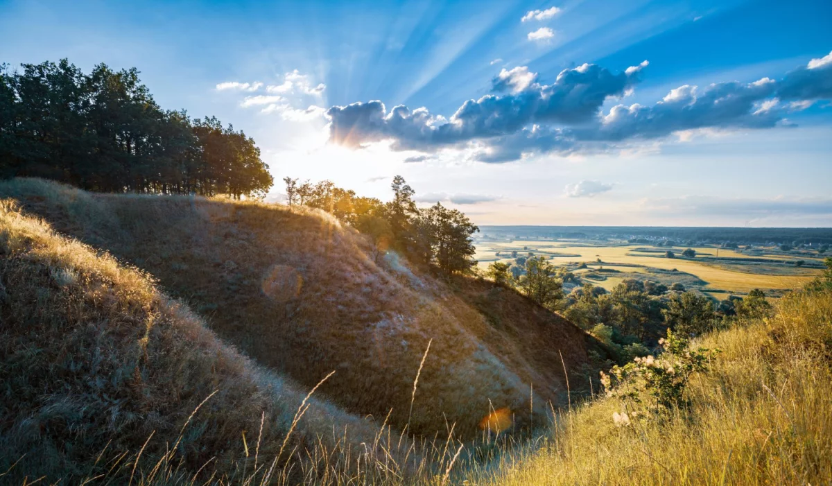 Obliczanie śladu węglowego w branży rozrywkowej: Jak przemysł filmowy i muzyczny mogą przyczynić się do zrównoważonego rozwoju