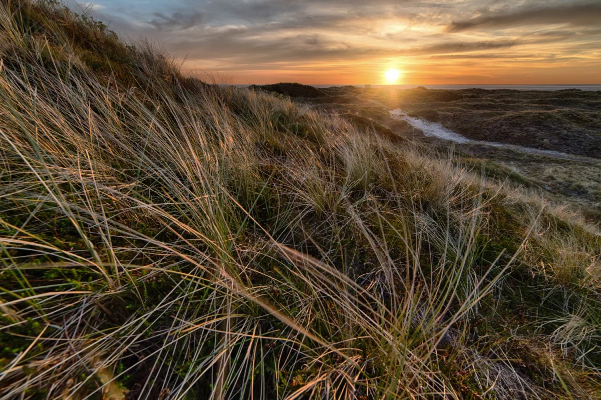 Bazy Danych o produktach i opakowaniach oraz o gospodarce Odpadami w Rumunii: Klucz do zrównoważonego rozwoju i efektywnego zarządzania odpadami