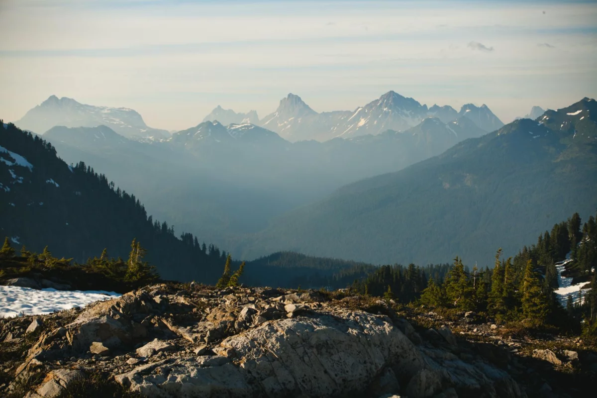 BDO Belgia: Kluczowe Usługi Audytorskie i Doradcze dla Firm