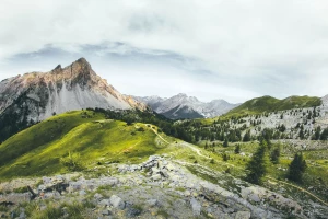 Szybki i skuteczny kurs o swiadectwie energetycznym - zwiększ swoją wiedzę i kompetencje!